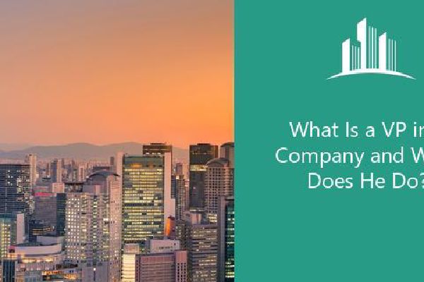 What Is a VP in a Company and What Does He Do? | Melbado